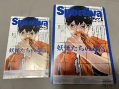 【ビジュアルボード付き】ハイキュー‼︎ショーセツバン‼︎ Sportiva表紙I巻