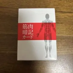 筋肉暗記カード