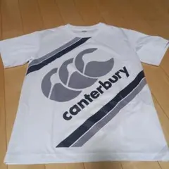 カンタベリー ストライプ Tシャツ Mサイズ ホワイト