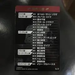 RIZINポテトスティックNo.30シークレット