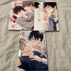 ボーイズラブ漫画　3冊セット