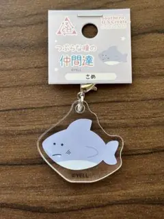 つぶらな瞳の仲間達　アクリルチャーム　さめ