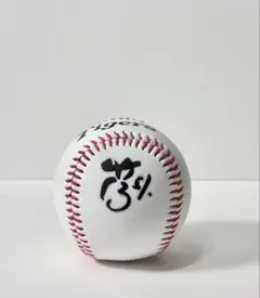 【阪神タイガース】中野拓夢 直筆サイン入りボール(NPB統一試合球) 71axsjYPlNL._UF350,350_QL50_.jpg