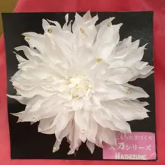 Item thumbnail for item 3fc175a3-d31a-48b9-8464-1fbc267f24ed