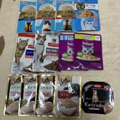 Item thumbnail for item 63f9c0c6-eb06-4e08-8472-69a1506def9e