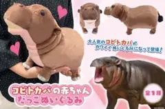 激レア 【新品】コビトカバの赤ちゃん ムーデン ぬいぐるみ タイ現地購入 Amazon.co.jp: Quyuee カバのぬいぐるみ,カバのぬいぐるみ