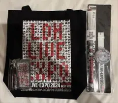 LDH expo アップグレード特典　フラッグ&ライトブレス