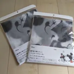 ディズニー 網戸張り替えネット ミッキーマウス/月 2点セット