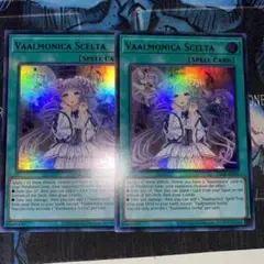 2025年最新】ヴァルモニカ・シェルタ アジアの人気アイテム