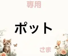 専用