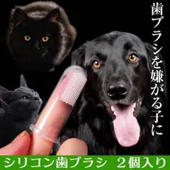 ペット用 歯ブラシ 2個 シリコン 歯磨き 歯周病予防 犬 猫