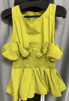 Narcissus 服　黄緑