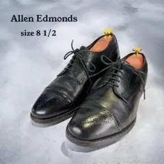【良品】Allen Edmonds ウィングチップ（8.5）革靴　メダリオン　黒