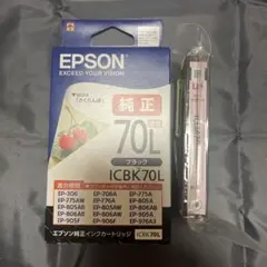 EPSON ICBK70L