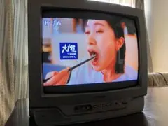 2025年最新】VICTOR ブラウン管テレビ・テレビデオの人気