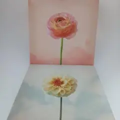 セット