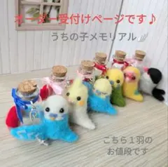 羊毛フェルト セキセイインコ インコ うちの子メモリアル 小瓶