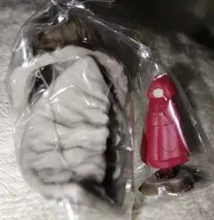 専用ページ