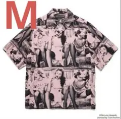 Item thumbnail for item 56afa257-7c64-4261-899f-90f77c10d2a7