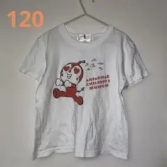 キッズ Tシャツ ドキンちゃん 120 白ティ
