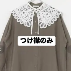 つけ襟 アーバンリサーチ