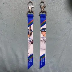 ライオンズ　マッチデーボンフィン