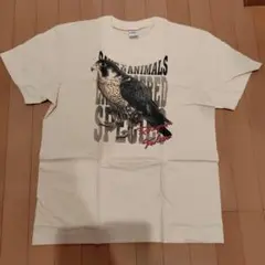 メンズ Tシャツ 　ハヤブサ　ベージュ
