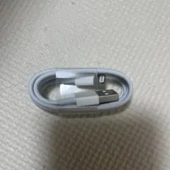 iPhone 正規品　充電器　ケーブル