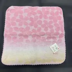 Item thumbnail for item 85f58542-cbc5-4a58-b863-0c74b9605fc5