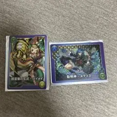 モンスターカード　メティス　メイメイ　2枚セット