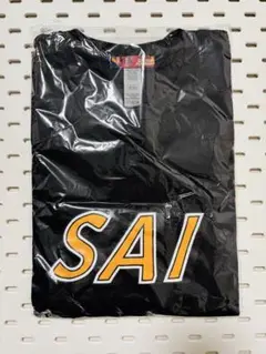 Item thumbnail for item 0d97bca6-3640-4acf-8143-450e52cca7f1
