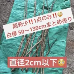 Item thumbnail for item ce5d0600-27e8-46ae-91a6-da831c57ed05