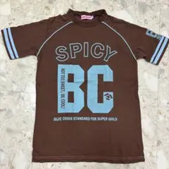 【希少】当時物　ブルークロス　半袖　Tシャツブラウン　LL 大きめ