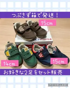 Item thumbnail for item e71c12d7-88c2-4686-afb3-a5b660e6d740