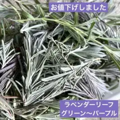 [限定品]ラベンダーリーフ パープル 枝葉 ドライフラワー 花材 リース