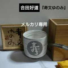 金海窯　合田好道　鐡絵文角瓶　共箱 金海窯 合田好道 鐡絵文角瓶 共箱