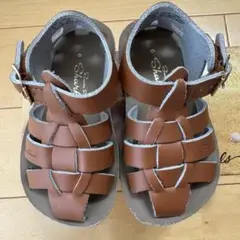 【美品】Salt water shark tan 6