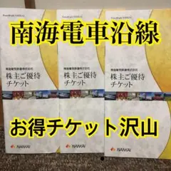 南海株主優待券 3冊 メルカリ便