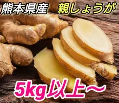 【数量販売】土付き 長持ち 親生姜 5キロ以上