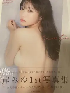 ババババンビ 岸みゆ 1st写真集「tinto」 未開封品