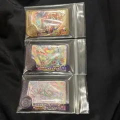 ポケモンフレンダ　コライドン・カミツオロチ・サーナイト