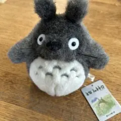 Item thumbnail for item 2dca87ed-b554-4dd0-b9af-12dcfe0e0e19