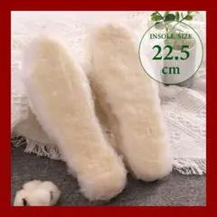 Item thumbnail for item e7903b25-9188-4ac0-8de8-1e4be49ef801