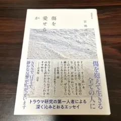 傷を愛せるか 増補新版 宮地 尚子