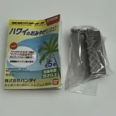 ハワイのおみやげミニチュアコレクション