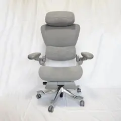 Hinomi H2 Pro エルゴノミクスオフィスチェア ムーングレー
