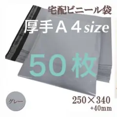 Item thumbnail for item d42c83e7-568e-4e59-9da3-2374ce3588db