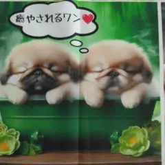 オーダー受付☆