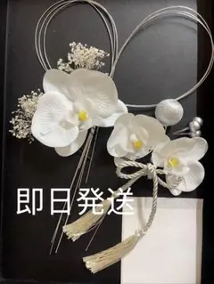 Item thumbnail for item ecc35c52-ff82-44f9-9dbd-ac7671fc00f7