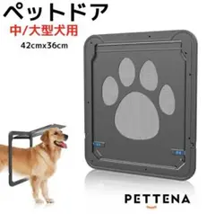 Item thumbnail for item ee1ca3df-bddd-49b0-a580-dc1097b5a44c